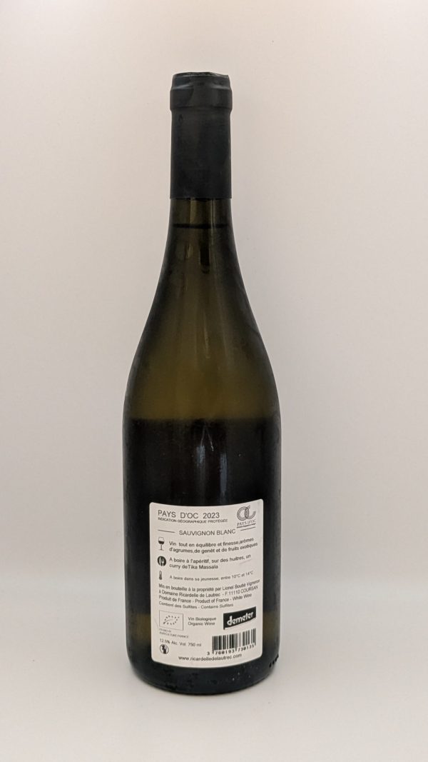 Ricardelle de Lautrec, Sauvignon Blanc scène n4 2023 – Image 2